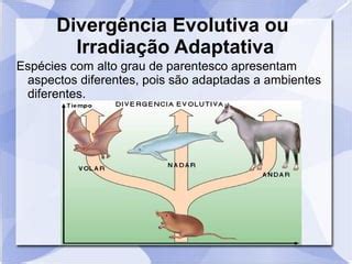 Convergencia E Divergencia Evolutiva - Divergência e Convergência | PPT