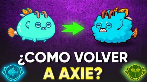 Todo Los Que Tenes Que Saber Para Volver A Axie En Axie