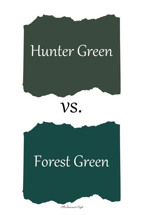Hunter Green vs. Forest Green: Choosing the Perfect Paint Color