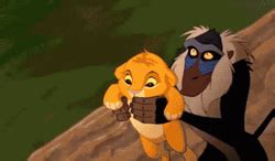 Rafiki Throw Simba Memes GIFDB