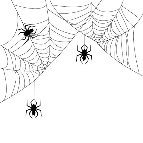 Close Up De Teia De Aranha Em Fundo Branco Aranhas Ilustrador