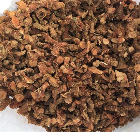 China Buy Dried Galangal Powder Manufacturers Buy Dried Galangal