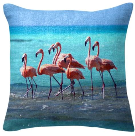 Flamingos of Anegada BVI – PAOM