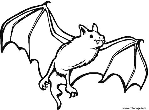 Coloriage Une Chauve Souris Vampire Dessin Halloween Chauve Souris