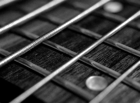 10 Best Bass Strings of 2024 to Strum up Great Music