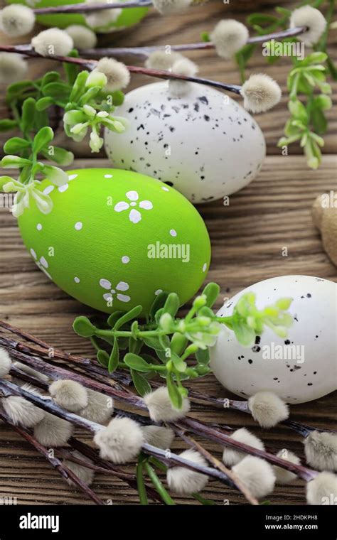 Easter Eggs Pussy Willow Easter Egg Pussy Willows Stock Photo Alamy