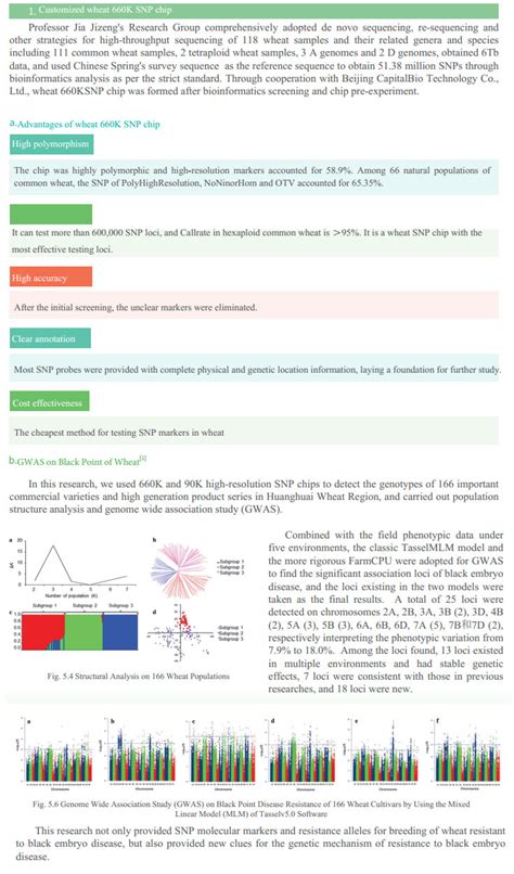 Agricultural SNP Microarray | Capitalbio