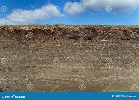 Profilo Del Suolo In Maremma Fotografia Stock Immagine Di Struttura