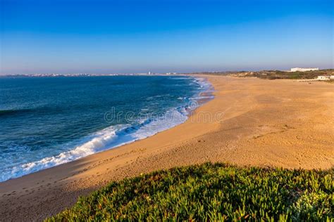 A Sunny Day at the Beach stock image. Image of rocha - 176583919