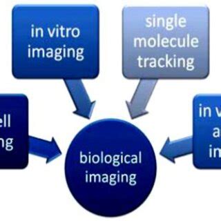 Biomedical applications of quantum dots [47]. | Download Scientific Diagram