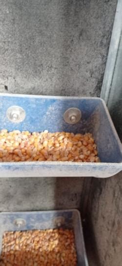 What Is Lego S Most Nude Minifig 3D Models Page 1 STLFinder