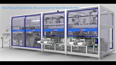 Innovative Packing Solution High Performance Tetra Pak Case Packer