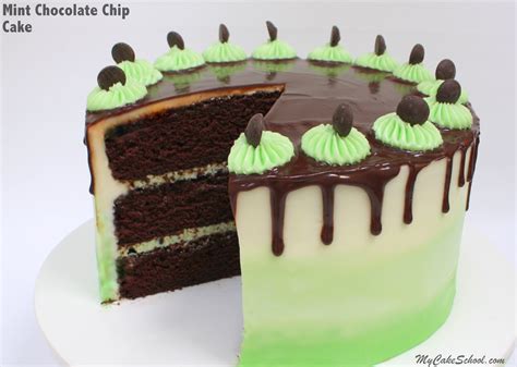 Mint Chocolate Chip Cake My Cake School