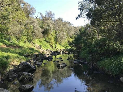 Darebin Parklands | Trail Navigator Victoria