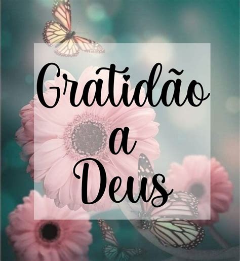 Frases De Gratidao A Deus Sedottuntas