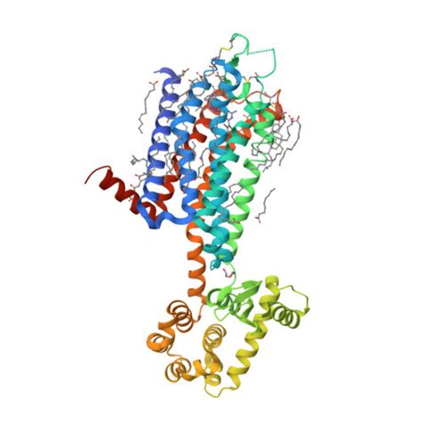 Rcsb Pdb 8jwz Crystal Structure Of A2ar T4l In Complex With Ab928