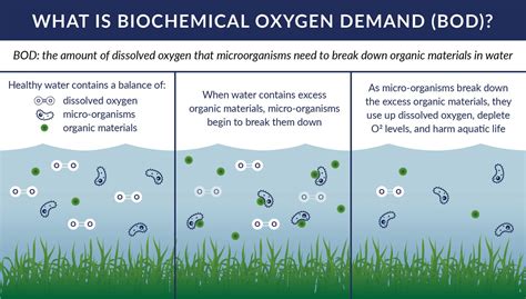 How Do Deicers Affect Biochemical Oxygen Demand