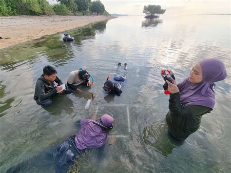 Monitoring Terumbu Karang Mangrove Dan Lamun Di Kawasan Konservasi