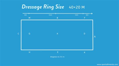 Dressage Arena Official Dimensions And Perfect Measurements Sports