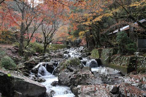 くらがり渓谷の紅葉 岡崎市 紅葉特集 花のみごろcom