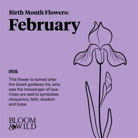 February Birth Flower: Iris | February birth flowers, Birth flowers, Birth month flowers