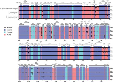 Figure 3 From New Insight Into The Phylogeny And Taxonomy Of Cultivated