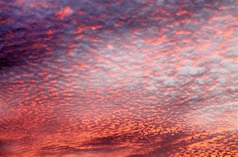 Formaciones Anaranjadas Y Rojas Hermosas De La Nube De La Puesta Del