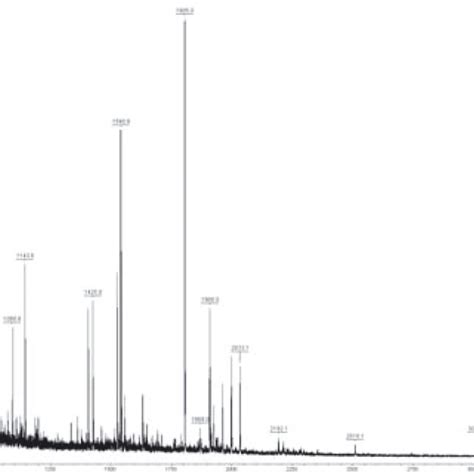 MALDI TOF Mass Spectrum Of MBP 1 The Protein Spot Was Isolated From