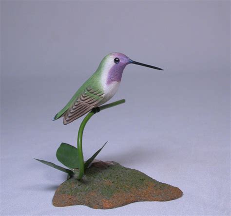 Costa’s Hummingbird – Birdhug Studio