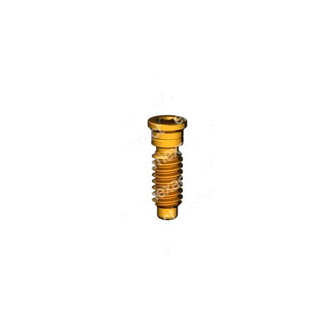 Tornillo M He Short Head Goldgrip Inrodent Suministros