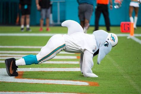 Who Is Miami Dolphins Mascot TD?