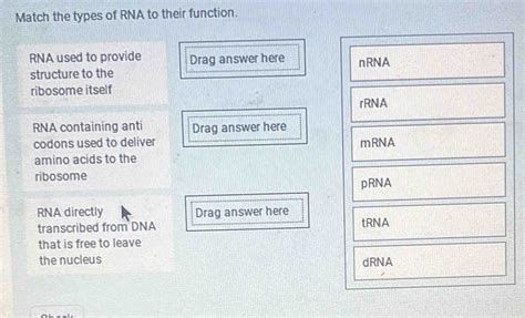 Solved Match The Types Of Rna To Their Function Algebra