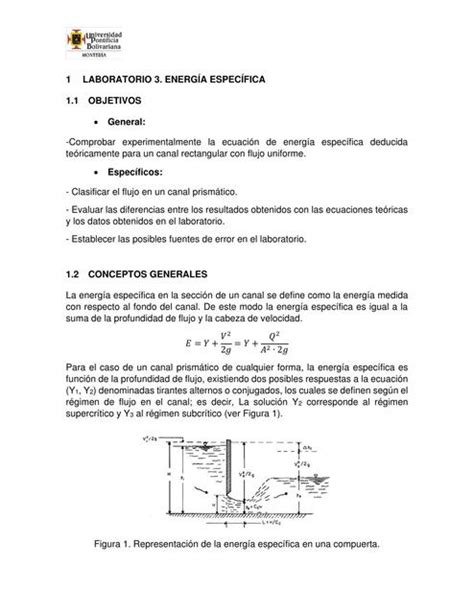 Práctica Energía Específica Resalto hidraulico Michell