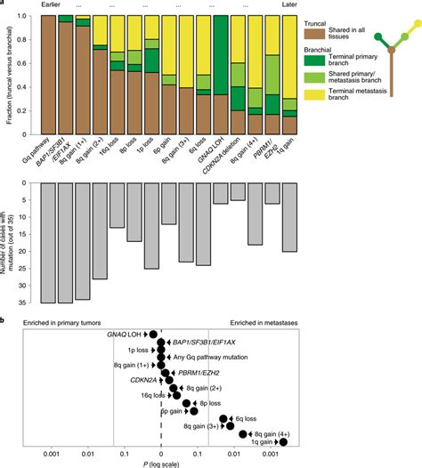 The Sequential Order Of Genetic Alterations During Metastatic