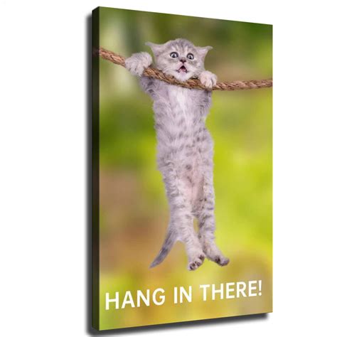 Hang In There Cat Wallpaper