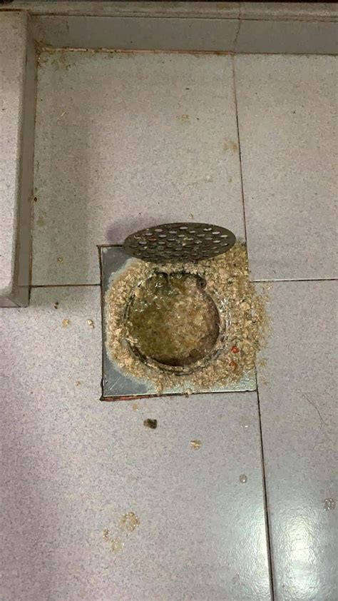 Hdb Toilet Floor Trap Choke Viewfloor Co