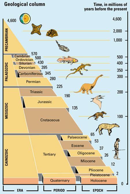 Geological time-scale showing eras | Science | Prehistoric timeline ...