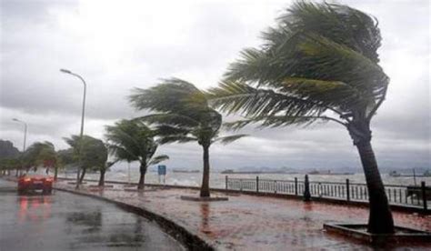 Bulletin Météo Spécial alerte orange vents violents jusqu à 80 km h