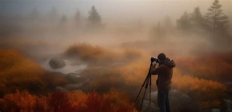 The Magic Of Fog Effects In Photography And Filmmaking: Tips And Tricks ...