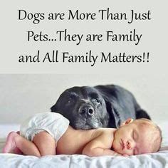 Dog Family Quotes - ShortQuotes.cc