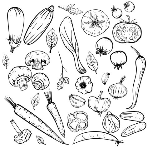 Outline Drawings Of Vegetables