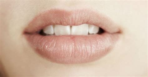 Curar Labios Quemados Consejos Pr Cticos Y Efectivos