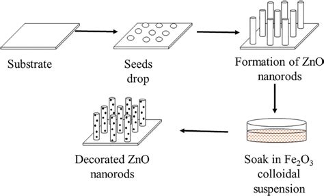 Schematic Of Fe O Nanoparticle Decorated Zno Nanorod Synthesis