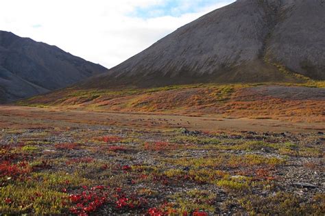 Noatak National Preserve | National Park Foundation