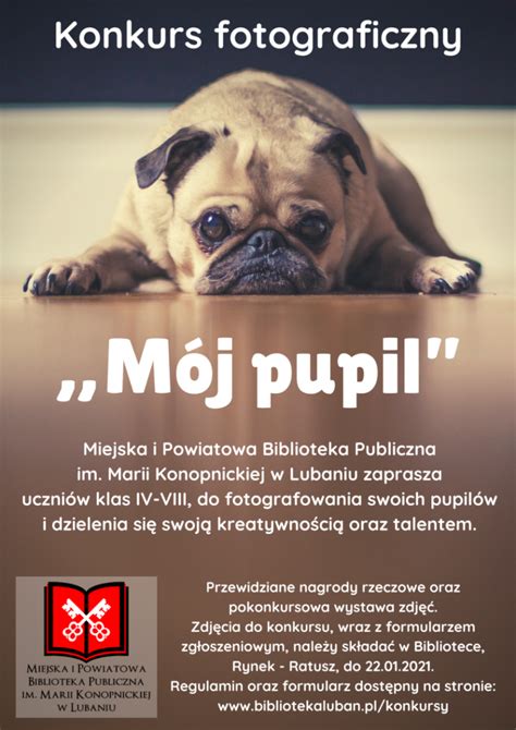 Mój pupil konkurs fotograficzny Miejska i Powiatowa Biblioteka