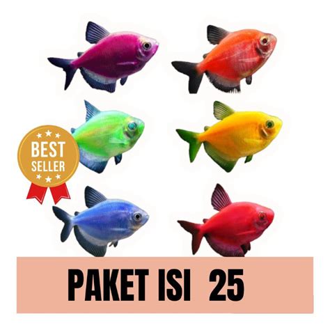 jual dekor aquarium paket isi  warna random hiasan aquarium