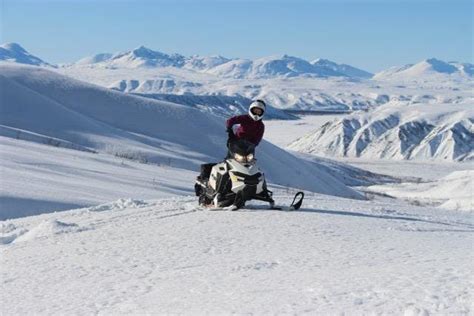 Snowmobile Tour in Fairbanks | Alaska Wildlife Guide