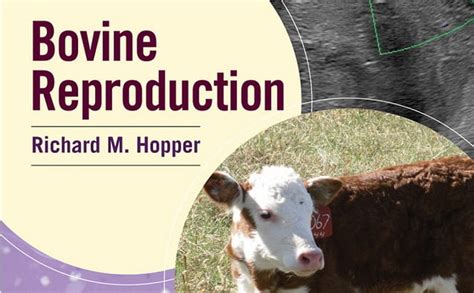 Hopper-Bovine Reproduction Pdf Free Download