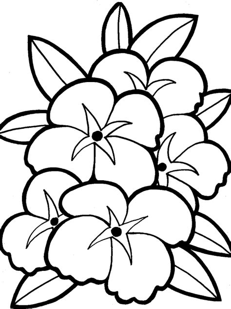 Printable Colouring Pages Of Flowers Clip Art Library