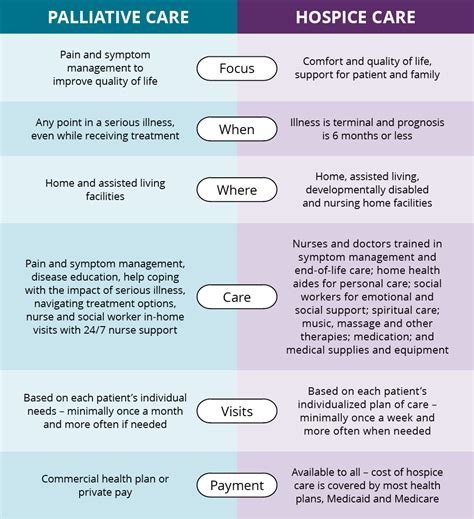 Hospice Vs Palliative Care Care Navigators